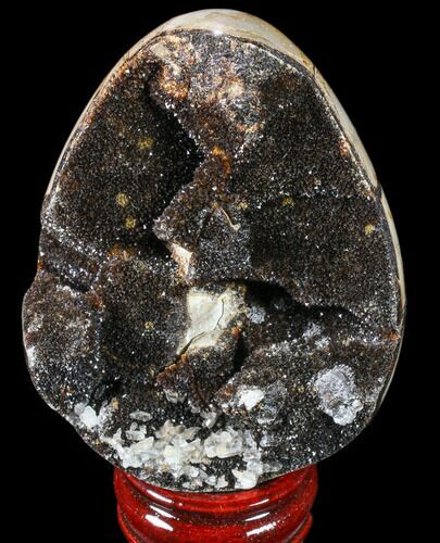 Septarian Dragon Egg Geode - Black Crystals #83391
